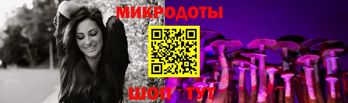 Петрозаводск  Галлюциногенные грибы GOLDEN TEACHER  продажа наркотиков  Вход с VPN  Псилоцибиновые грибы Magic Shrooms 